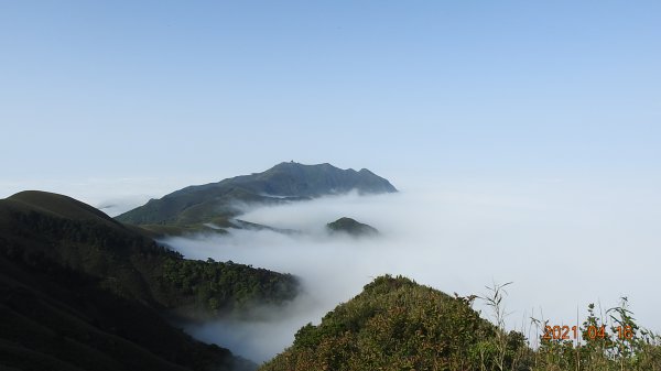 陽明山包場再見雲海04161351164