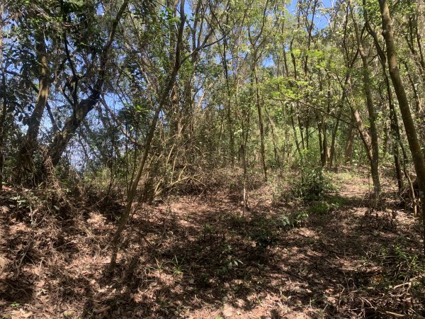 20250531屏東武潭山2803184