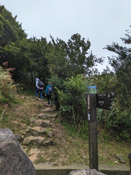 2023-10-22 臺北大縱走第四段2792949