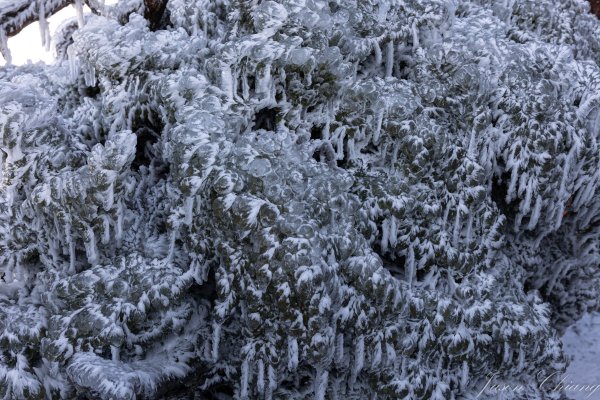 南二段撤退行2743121