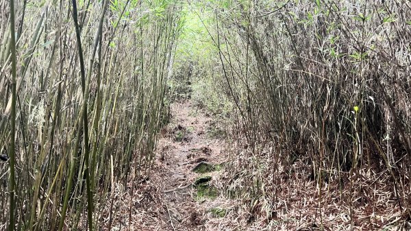 將軍廟上天鑾池上下2162811