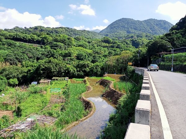 悠遊天母→猴洞→半嶺→湖山→鵝尾山步道【發現陽明山】2259006