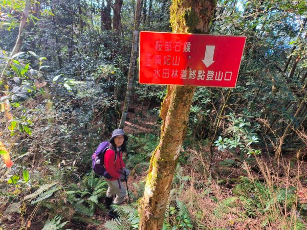 1121125 鳥嘴山縱走貴妃山2363982