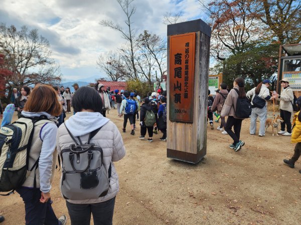 20251127陣馬山至高尾山2959103