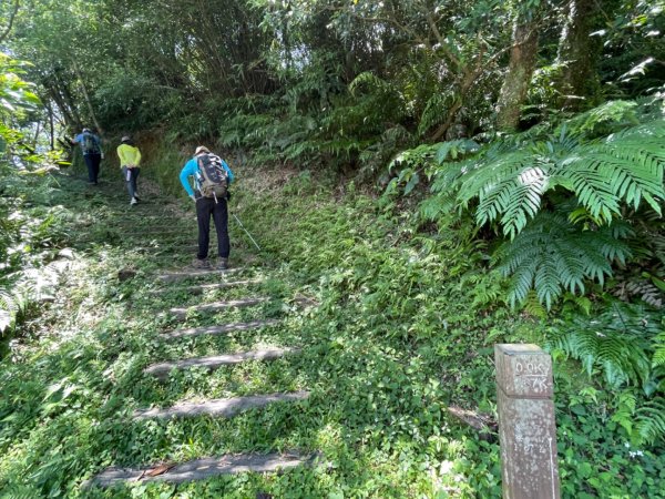 1140531姜子寮山。泰安瀑布。潮境公園2800955