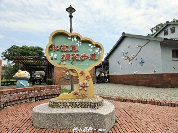 【台中外埔】外埔水流東桐花步道3046210
