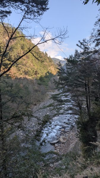 環山獵人登山步道3021028