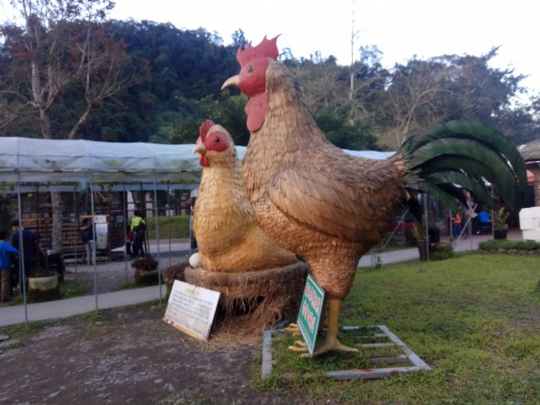 長埤湖環湖步道885154