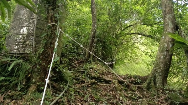 雙溪區烏山越嶺古道西段3073318
