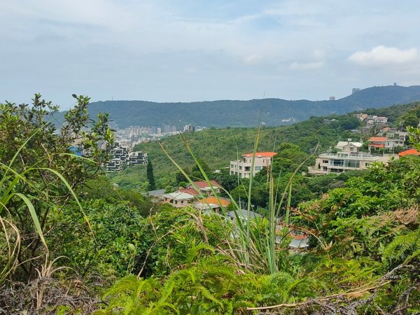 ［軍艦岩，單鳳山］（台灣百大步道）（2023/7/30）2238394