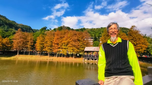 #花卉試驗中心 #永公路500巷 #平菁街42巷 #原住民公園 #士林官邸 1/42980354