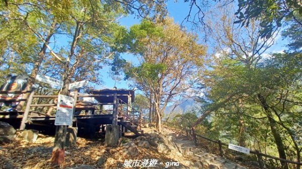 【台中和平】捎來步道x2025山谷燈光節2957997