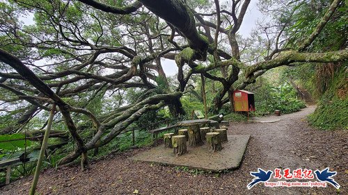 【新北市】福源山-圳頭坑步道