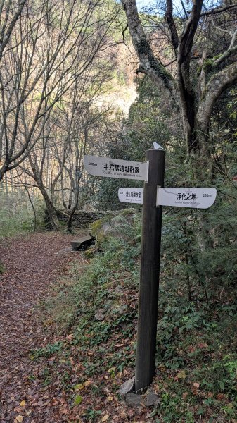 環山獵人登山步道3021037