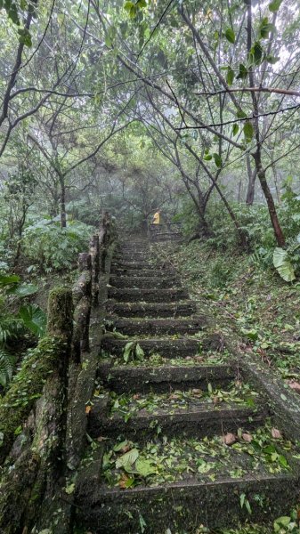 113.11.02颱風過後的二格山之行2641532