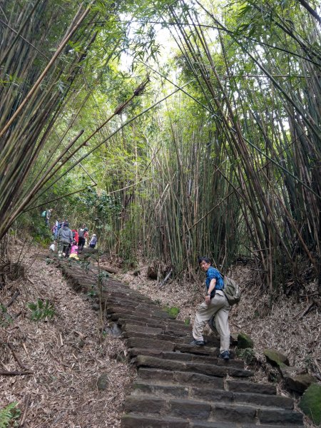 觀音山硬漢嶺876520