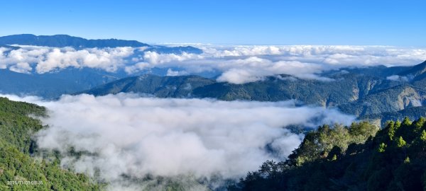 #太平山 #望洋山 #觀雲步道 #日出 #雲海 11/82931197