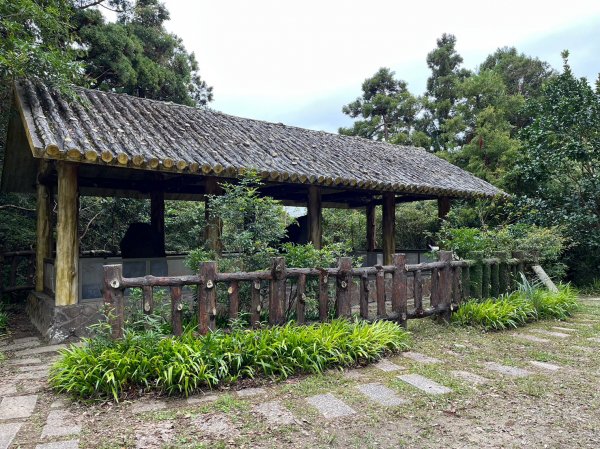 桃園 復興/新北 三峽 東滿步道2314900