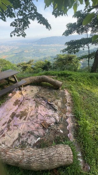 新竹橫山-大山背麒麟步道2628840