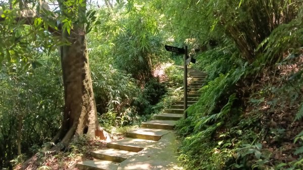 基隆市寶明寺-紅淡山-基隆廟口(吃)3085843