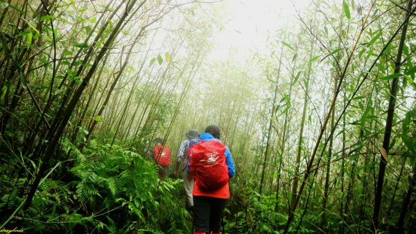 淡蘭古道深度旅遊~尋找古道上珍貴歷史遺跡754508