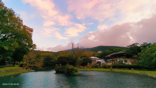 雲山水花鳥蝶-天龍國阿伯的日常 #翠鳥2641666