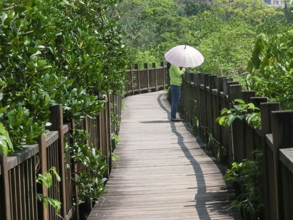 紅樹林步道．淡水文化園區封面