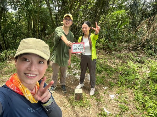 20250601梅竹蹊山-480峰-苕谷坑山2803391
