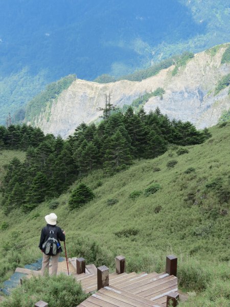 《南投》愛上山｜合歡山東峰2016061412180