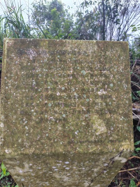 苗栗關刀山2975068