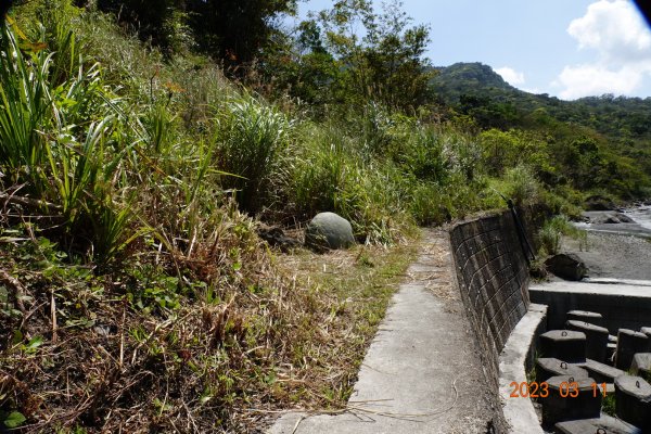 花蓮 豐濱 八里灣山(貓公山、吉拉雅山)2066410