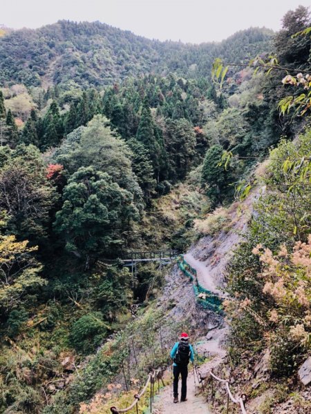 1081124檜山巨木群步道756519