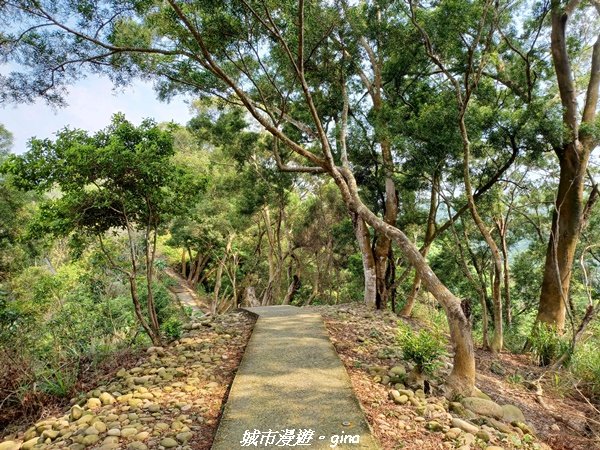【彰化員林】綠樹林間散散步。 臥龍坡步道1691263