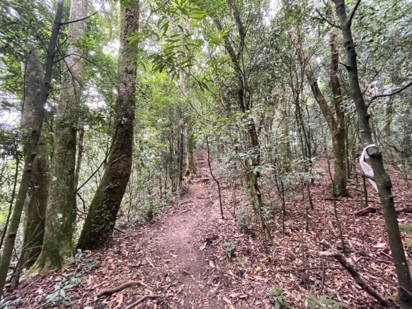 雨中鵝公髻山1823738