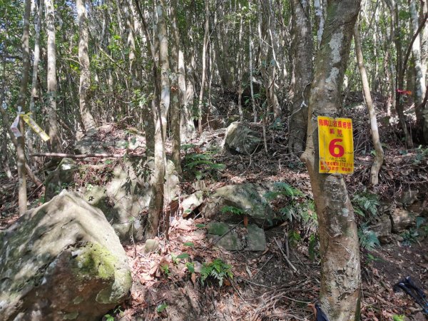 步道巡訪員│鳥嘴山步道 2 月巡訪日誌820156