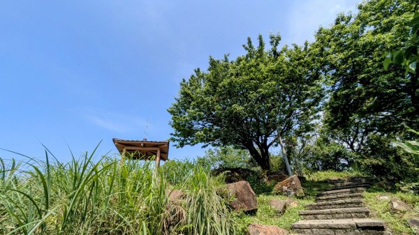 大尖山。走向2770868