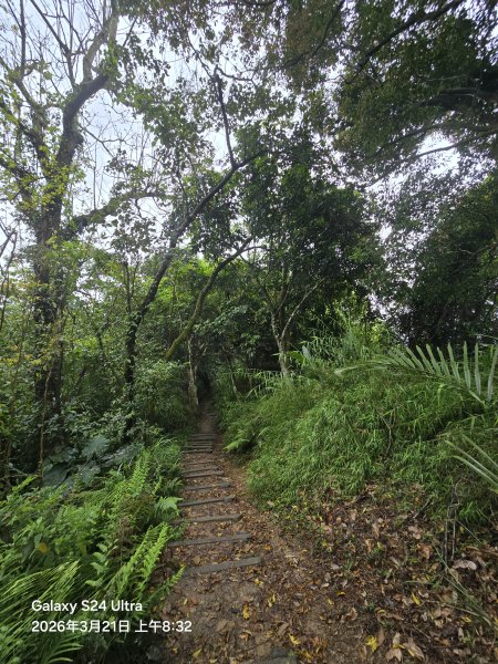 2026-03-21微笑山線：【鳶山山系】鳶山彩壁段3020441