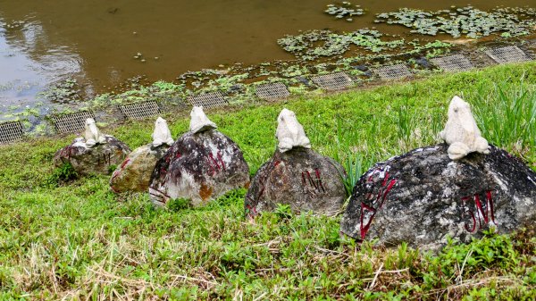 《臨江仙・碧山巖櫻花》2714218