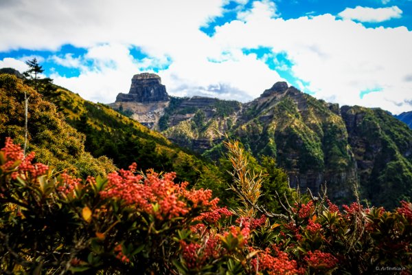 [冬訪大霸聖山岳參行]-榮耀桂冠B'bu' Papak聖稜精選輯2974834