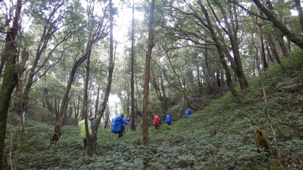 露門山路門1321430