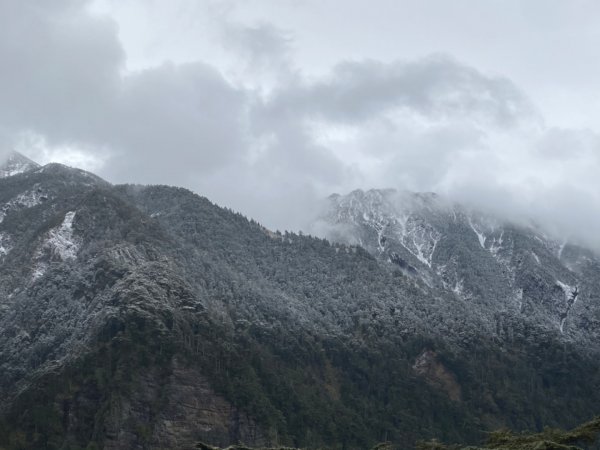 塔塔加-排雲山莊。驚喜滿分的糖霜雪景1565819