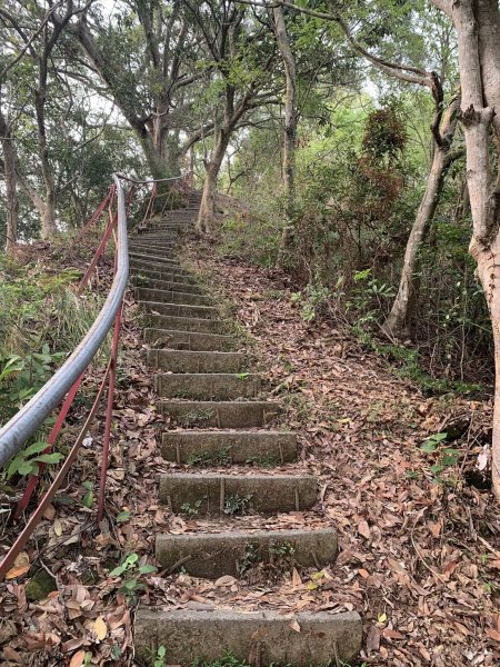 台中潭子聚興山環O林牛山一圈（小百岳）2126369