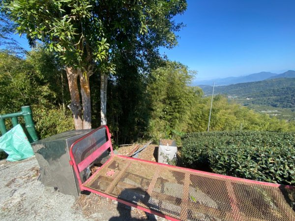 鹿谷大崙尾山、和雅挑竹古道7號、和雅挑竹古道6號O型走2425944
