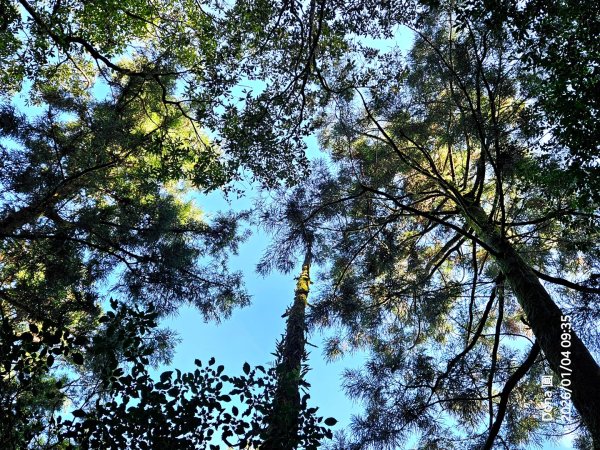 20260104源茂山.源茂山西峰.和尚髻山O走+親水觀魚步道2977698