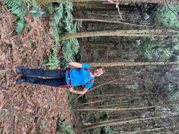 鵝公髻山（小百岳）鵝公髻山東北峰2449820