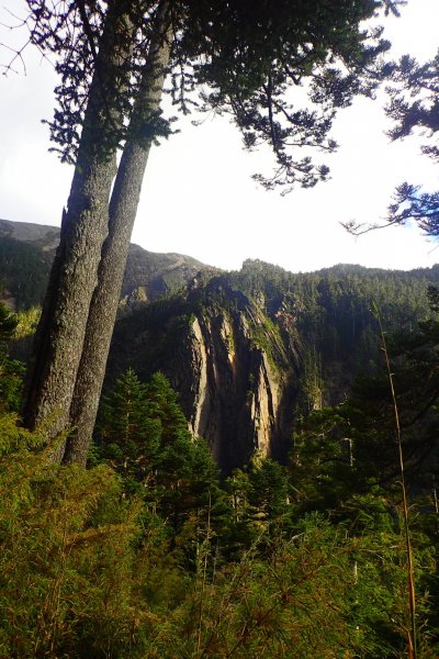 登峰造極--2018玉山主峰532512
