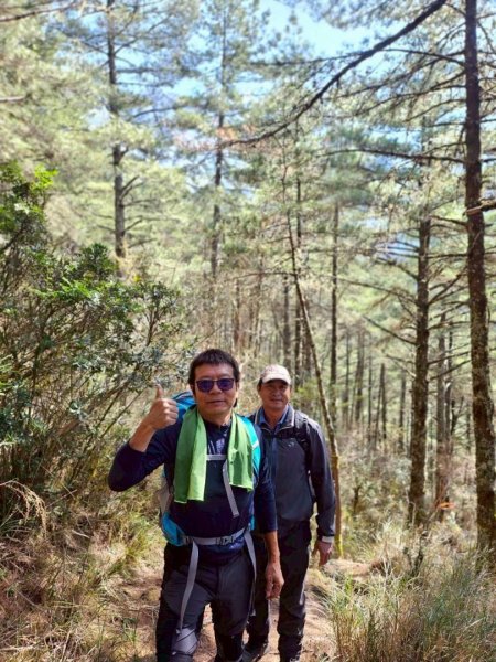 20260320四個毆鷄桑🦸‍♀️南橫溪頭山O繞關山嶺山3022690