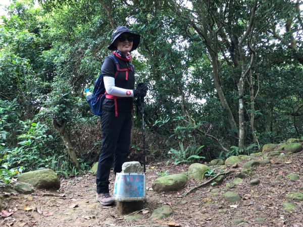 飛鳳山觀日坪連走中坑山388282