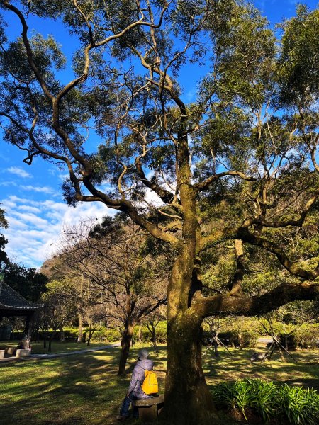 幸福五感森林癒2694304