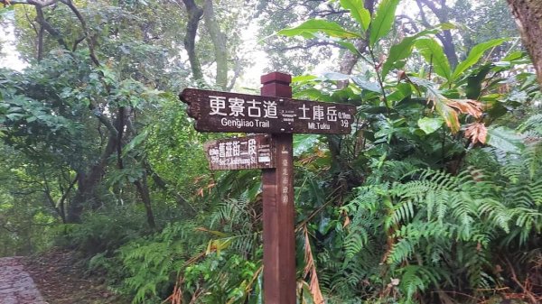 小百岳NO.14 深坑土庫岳。更寮古道 山豬窟尖，小南港山，南港山水綠生態公園2257332